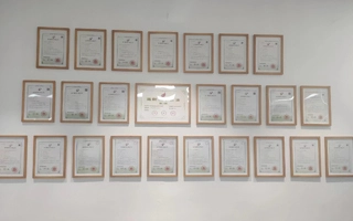 Solicitamos y se nos concedieron 11 patentes de innovación.