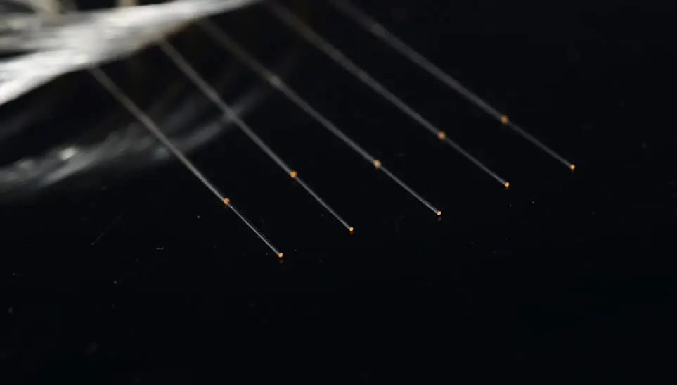 Fibra desnuda con recubrimiento AR