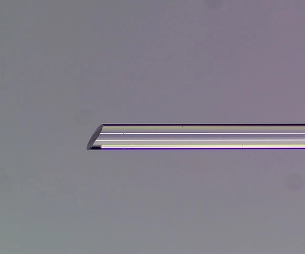 matriz de fibras con lentes